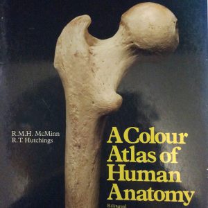 thighbone2014a