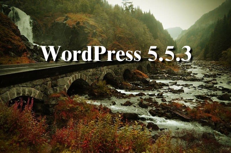 WordPress553kuma.jpg