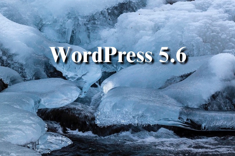 WordPress56kuma.jpg