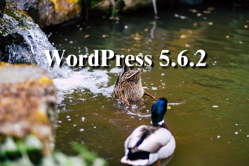 WordPress562kuma.jpg