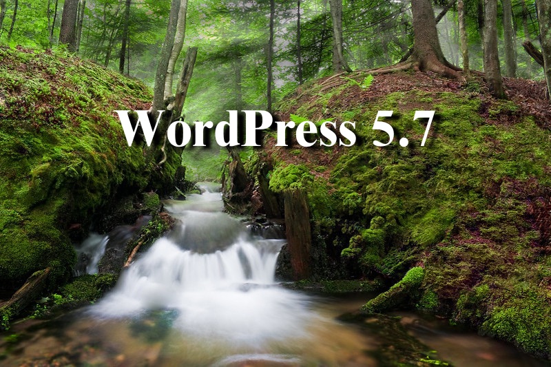WordPress57kuma.jpg