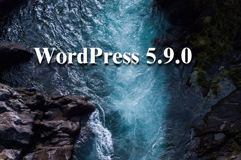WordPress590_kuma.jpg