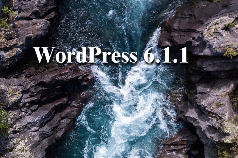 WordPress611_kuma.jpg