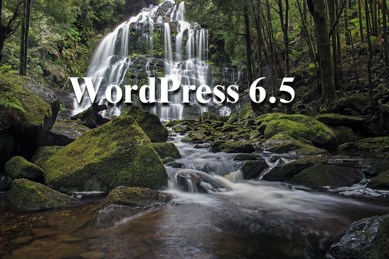 WordPress65_kuma.jpg