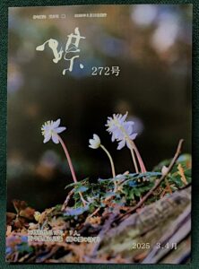 Cyo20250620a.jpg
