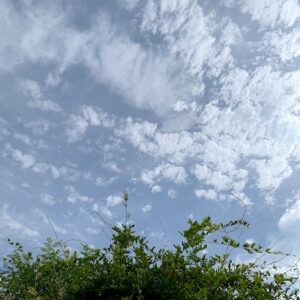 Kumo20250809t.jpg