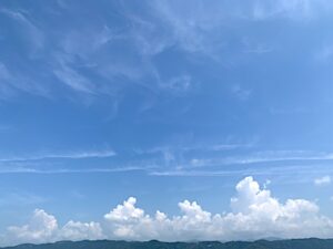 P20250818t.jpg