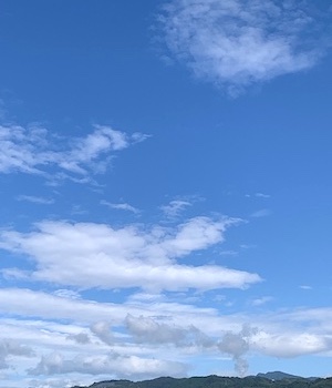 P20250926a.jpg